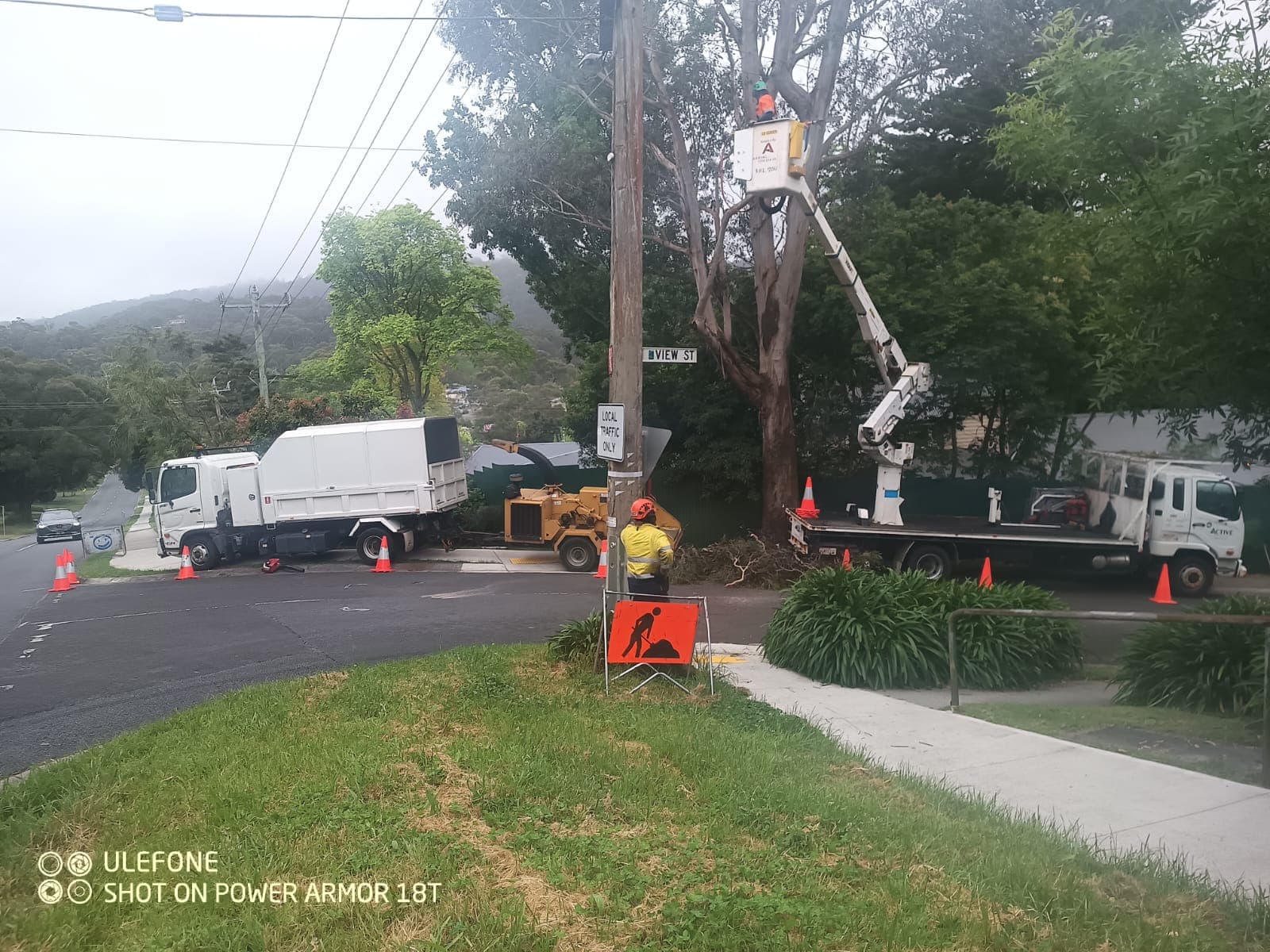 Utility Vegetation Management